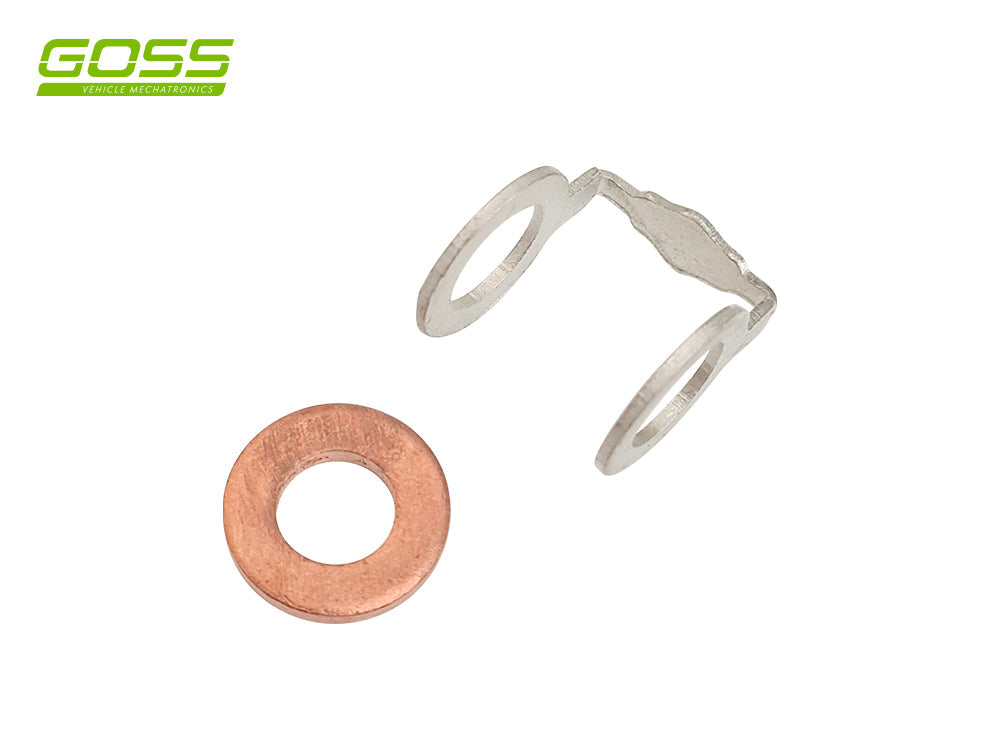 Diesel Washer Kit DWK300 - Goss