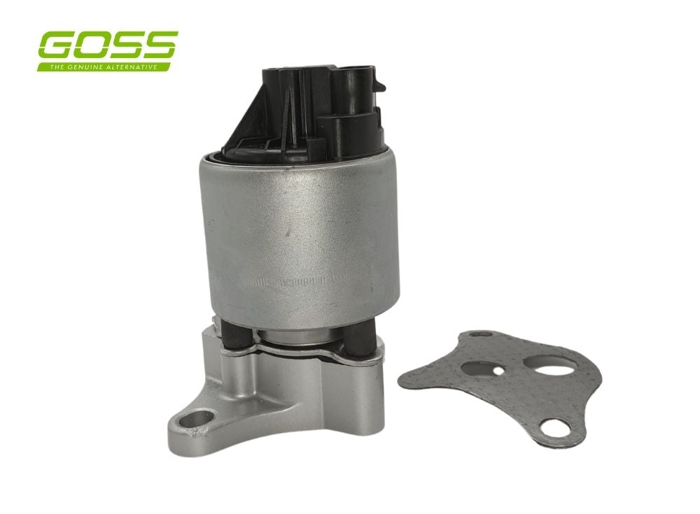 EGR Valve Holden EV106 - Goss