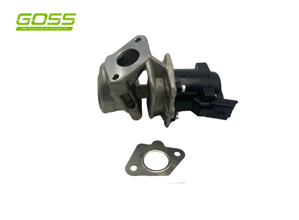 EGR Valve Citroen/Mini/Peugeot EV123 - Goss