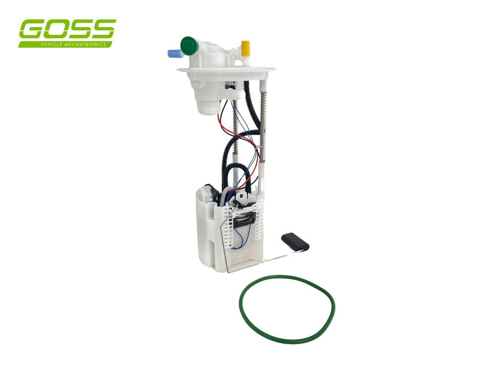 Fuel Pump Module GE689 - Goss