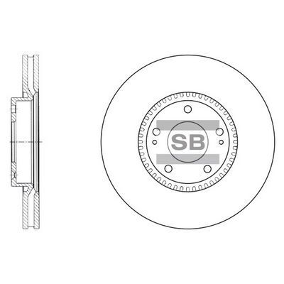 HiQ Front Brake Rotors Set SD1069