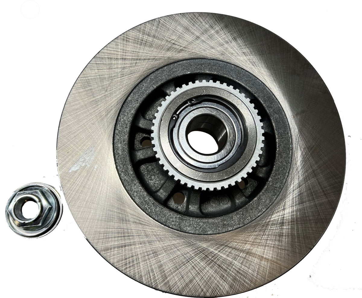 Rear Disc Brake Rotor + Wheel Bearing for Mitsubishi Express SN, Renault Trafic X82