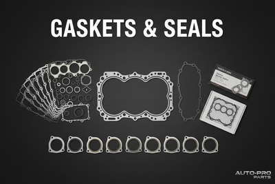 Gaskets & Seals
