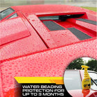 Carnauba Fast Wax