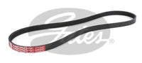 Gates Drive Belt (Fan Belt) 4PK840