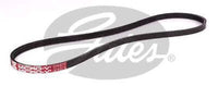 Gates Drive Belt Fan Belt Micro-V Belt 3PK875
