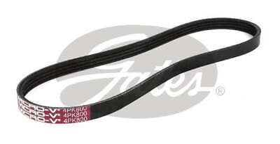 Gates Drive Belt Fan Belt Micro-V Belt 4PK800