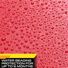 Carnauba Car Wax Paste