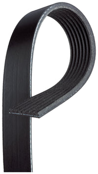 Gates Drive Belt for BMW 5 6 7 X5 X6 | Honda Civic EU EP EV | Nissan Patrol Y61