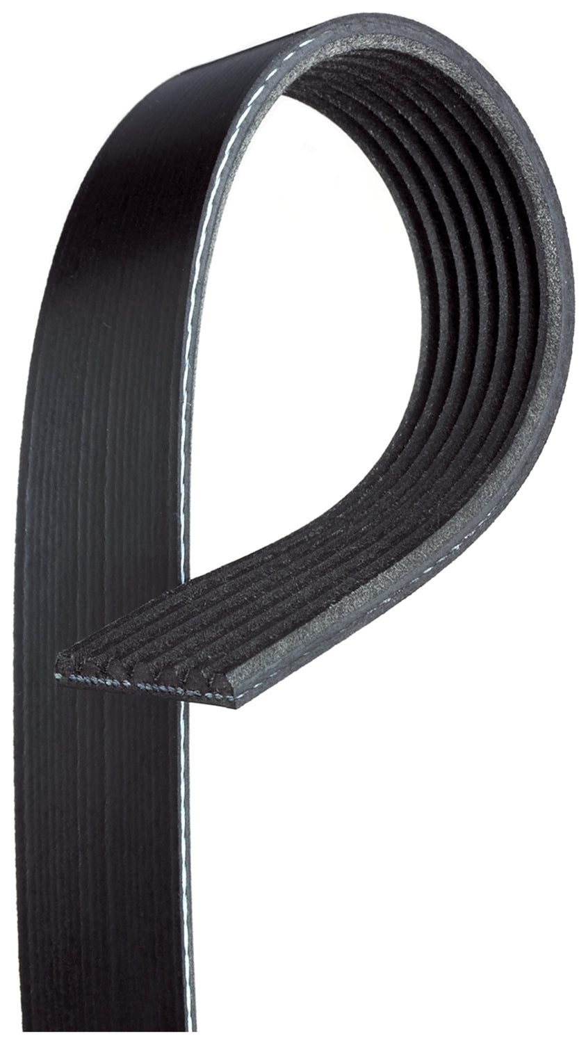 Gates Drive Belt for BMW 5 6 7 X5 X6 | Honda Civic EU EP EV | Nissan Patrol Y61