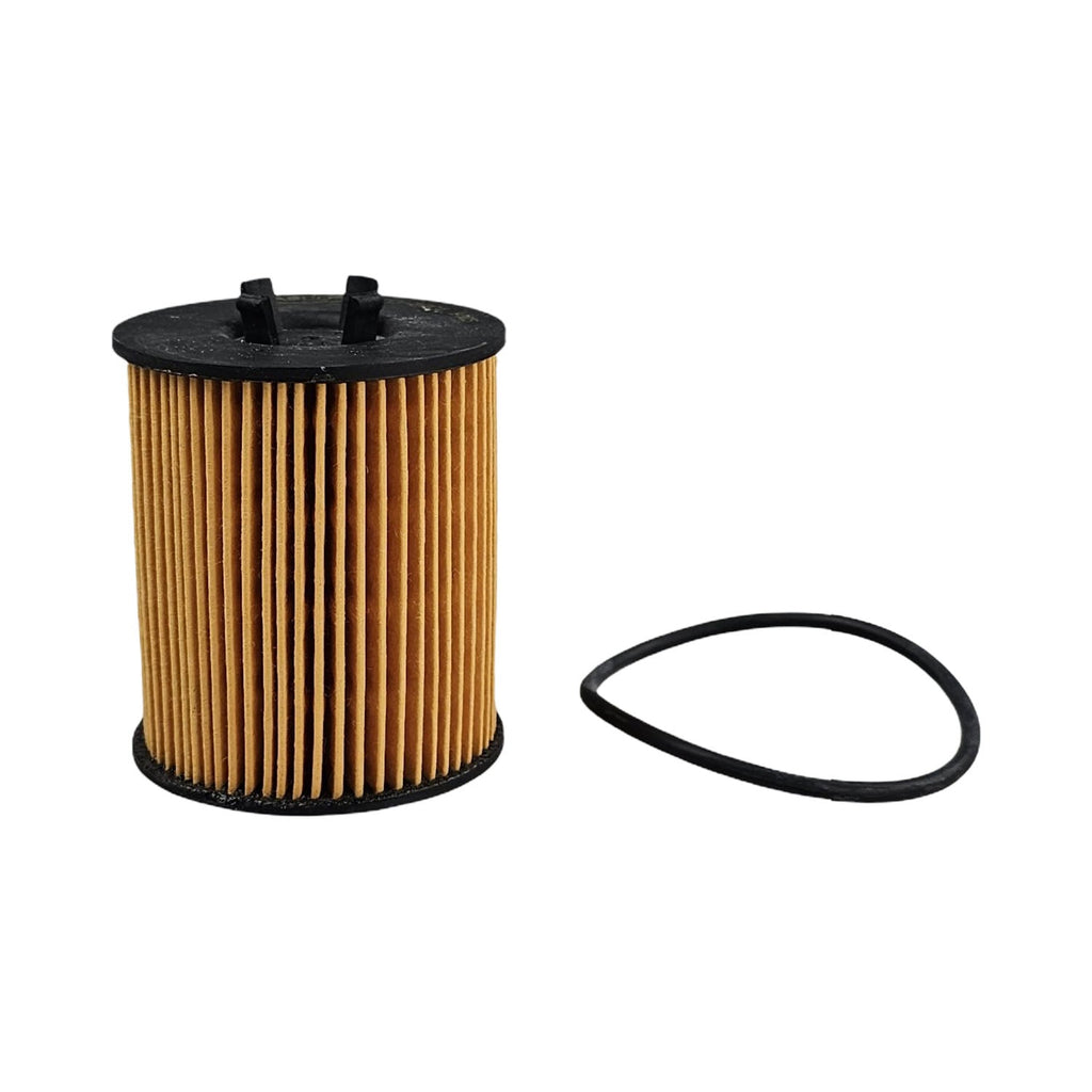 Basco BFO-2301 Oil Filter Interchangeable with EO-2301, R2591P & WR2591P