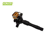 Ignition Coil Bmw C208 - Goss