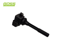 Ignition Coil Holden C289 - Goss