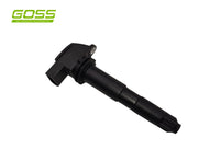 Ignition Coil Porsche C541 - Goss