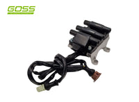 Ignition Coil Audi C659 - Goss