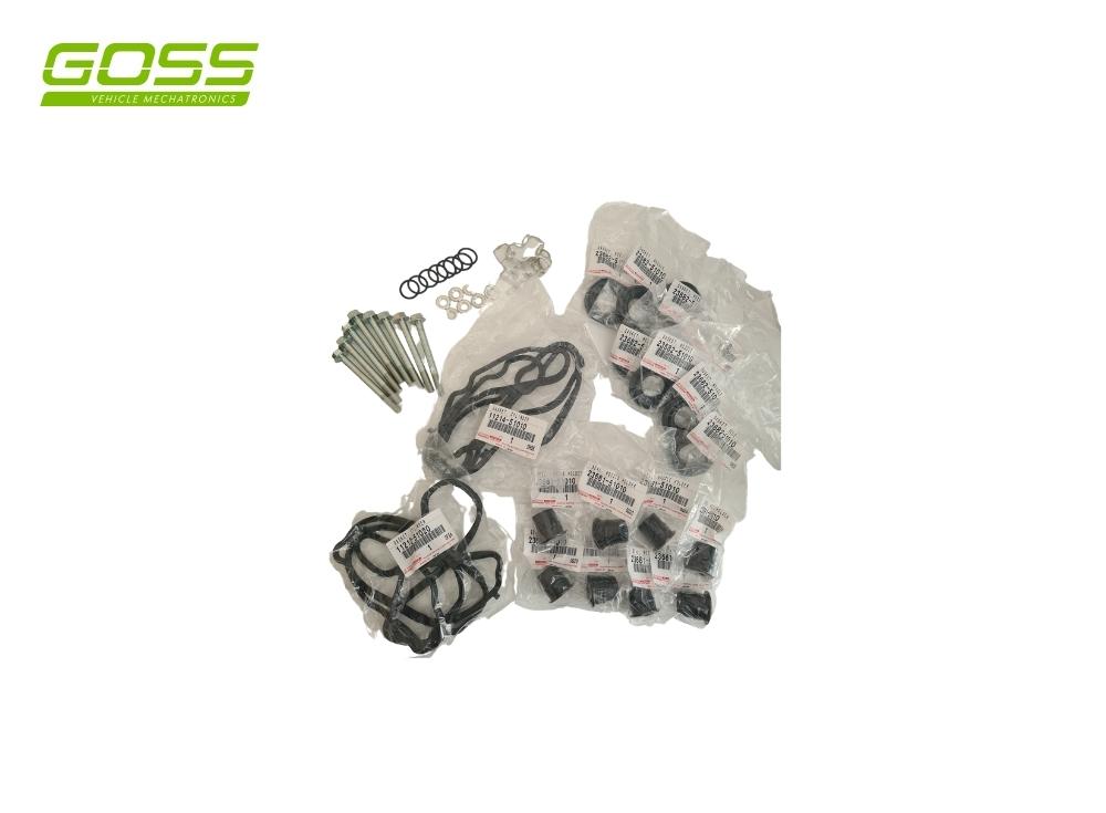 1VD 79/200 Series Seal Kit DSK003 - Goss