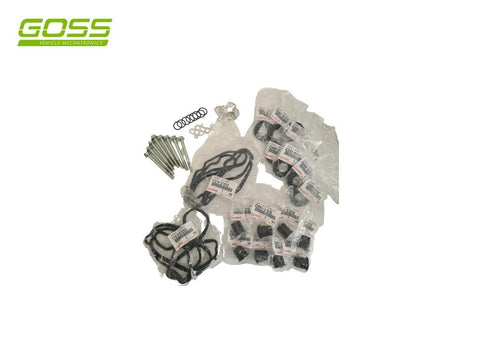 1VD 79/200 Series Seal Kit DSK003 - Goss