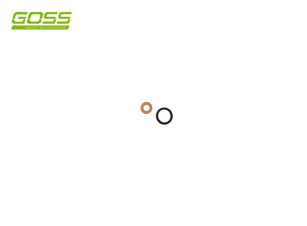 Diesel Washer Kit DWK553 - Goss