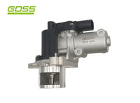 EGR Valve Hyundai/Kia EV116 - Goss