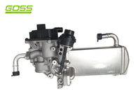 EGR Valve & Cooler Assembly Volkswagen EV158 - Goss