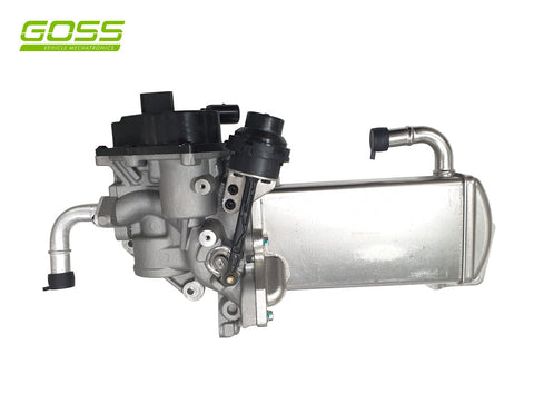 EGR Valve & Cooler Assembly Volkswagen EV158 - Goss