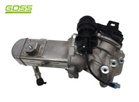 EGR Valve & Cooler Assembly EV159 - Goss