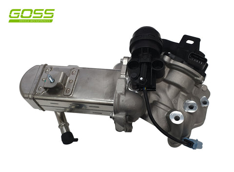 EGR Valve & Cooler Assembly EV159 - Goss