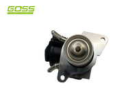 EGR Valve Bmw EV160 - Goss