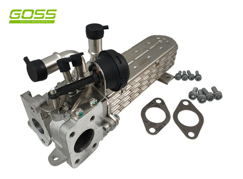 EGR Valve & Cooler Assembly Audi EV163 - Goss