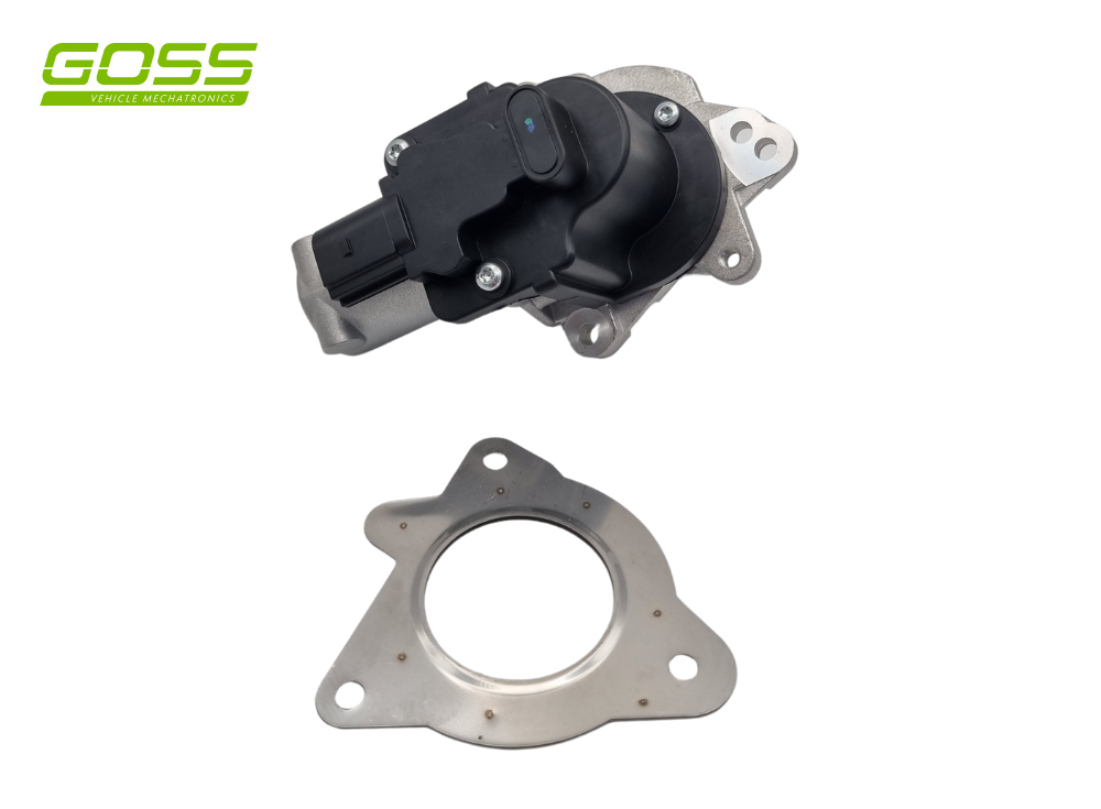 EGR Valve Hyundai/Kia EV174 - Goss