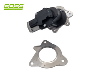 EGR Valve Hyundai/Kia EV174 - Goss