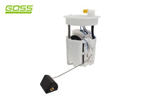 Fuel Pump Module GE613 - Goss
