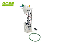 Fuel Pump Module GE689 - Goss