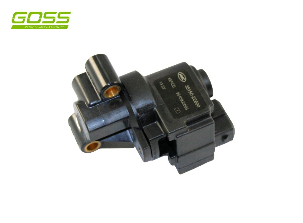 Idle Speed Hyundai New IAC557 - Goss