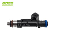 New Injector Holden PIN961 - Goss