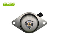 Variable Valve Timing Solenoid VT116 - Goss